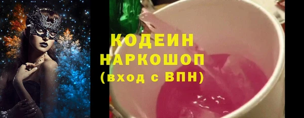 индика Верея