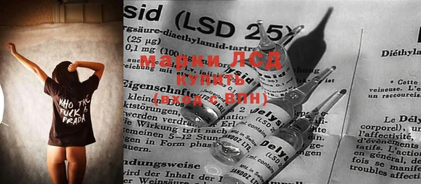 ГАЛЛЮЦИНОГЕННЫЕ ГРИБЫ Лабытнанги