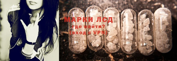 ГАЛЛЮЦИНОГЕННЫЕ ГРИБЫ Лабытнанги