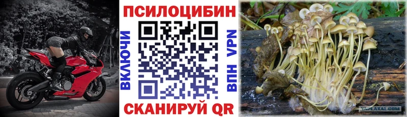 Галлюциногенные грибы прущие грибы  что такое   Костомукша 