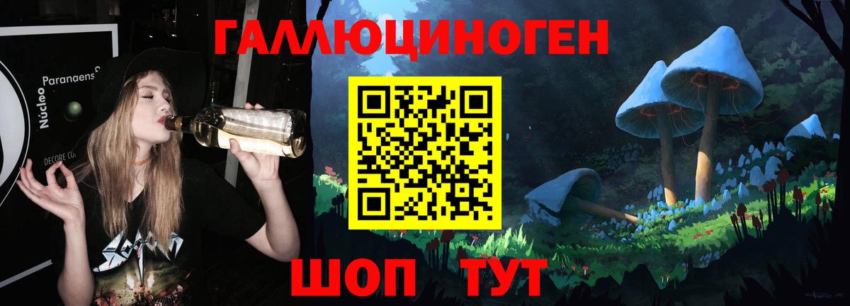 Псилоцибиновые грибы GOLDEN TEACHER Костомукша