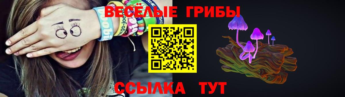 Костомукша  Галлюциногенные грибы MAGIC MUSHROOMS  Вход с VPN 